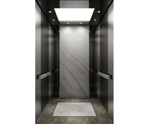 Professional 6-Person Passenger Elevator Lift Loading 630kg
