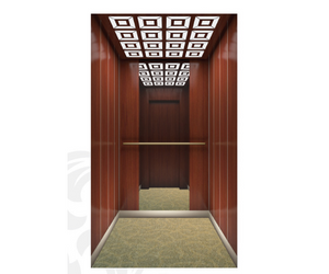 High Speed Luxury Passenger Home Elevator Lift Passenger Lift No Noise