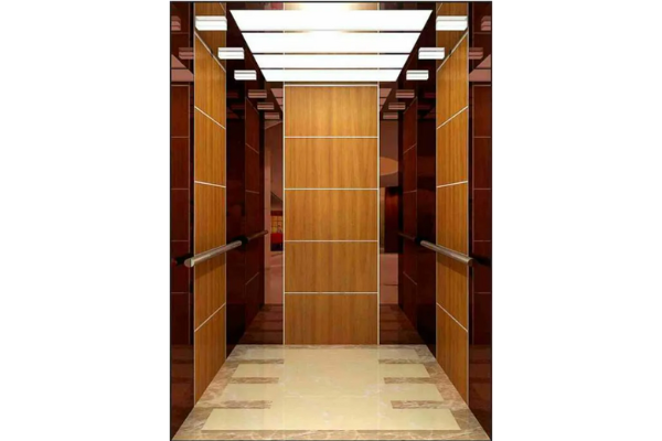 Famous Brand Level Quality with Cheap Price Elevator Supplier in China