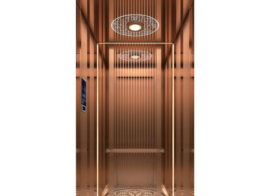 Europe Standard Shaftless Passenger Elevator Lift with Good Price China Wholesale Villa Elevator