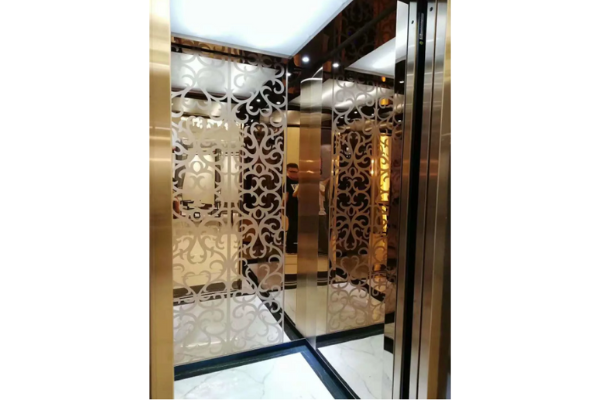 2021 Hot Sale Customise Villa Elevator Lift with Cheap Factory Price