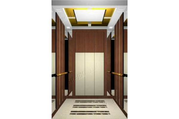 Famous Brand Level Quality with Cheap Price Elevator Supplier in China